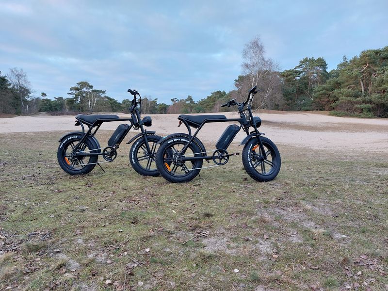 FatBike 1 800